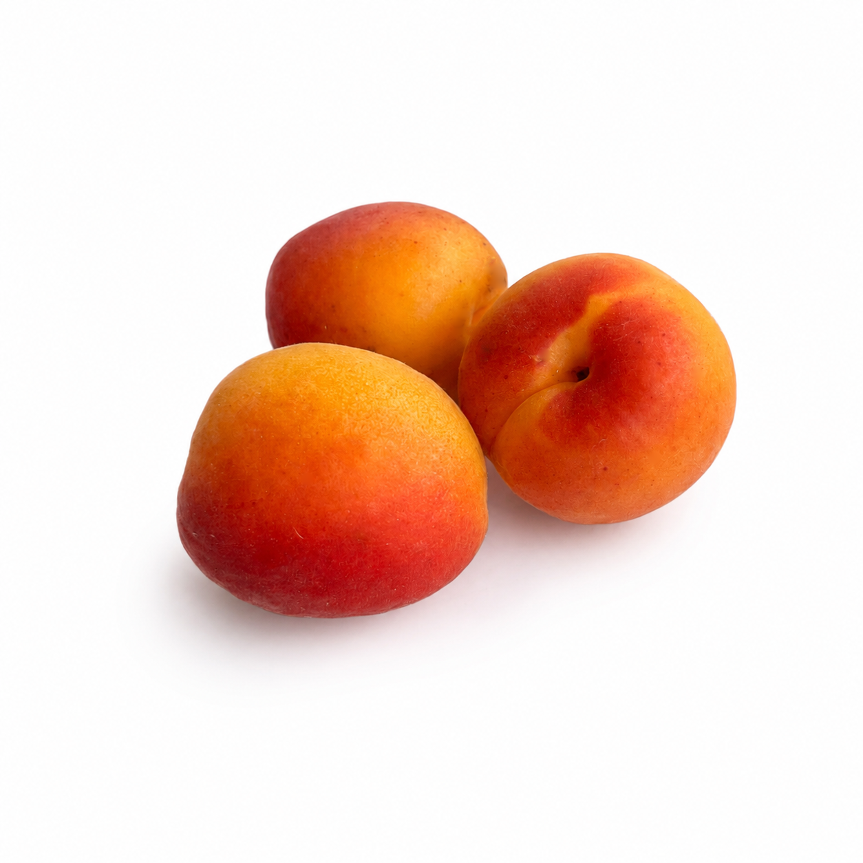 Apricot