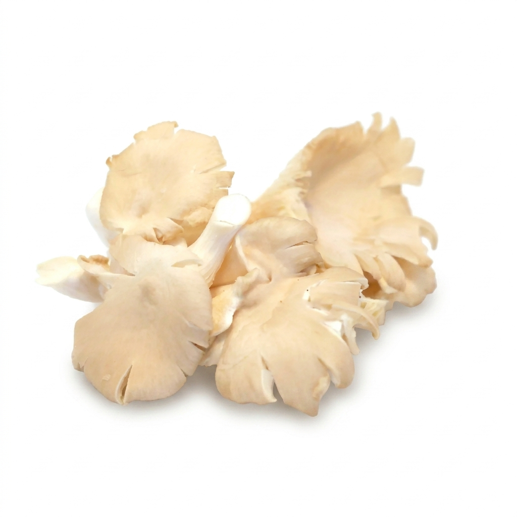 Oyster Mushrooms