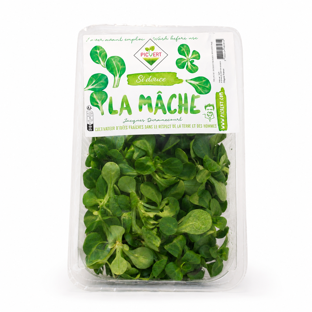 Picvert Lamb Lettuce