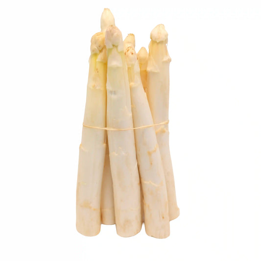 White Asparagus Bundle