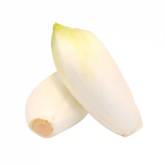 Chicory Endive