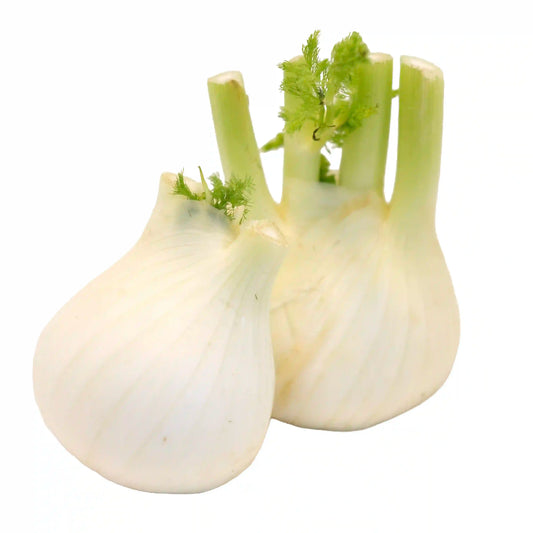 Fennel