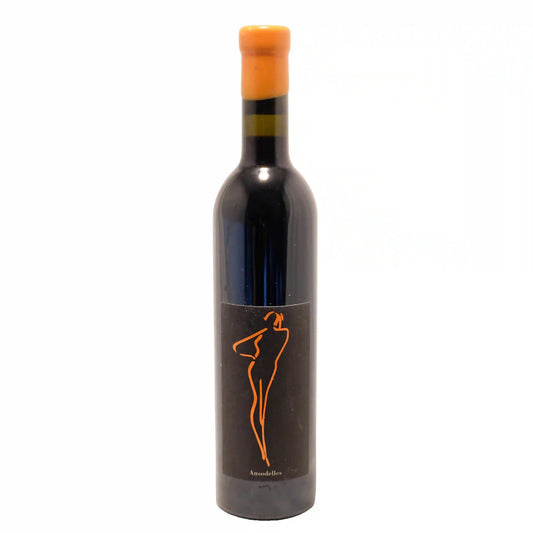 Domaine Ansodelles Conversation 2022 500ml - Bourgueil, Loire, France