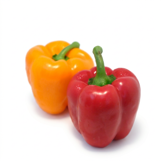 Bell Peppers Assorted Colors