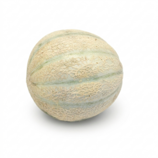 Charentais Cantaloupe