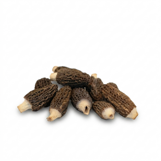Fresh Morel Mushrooms