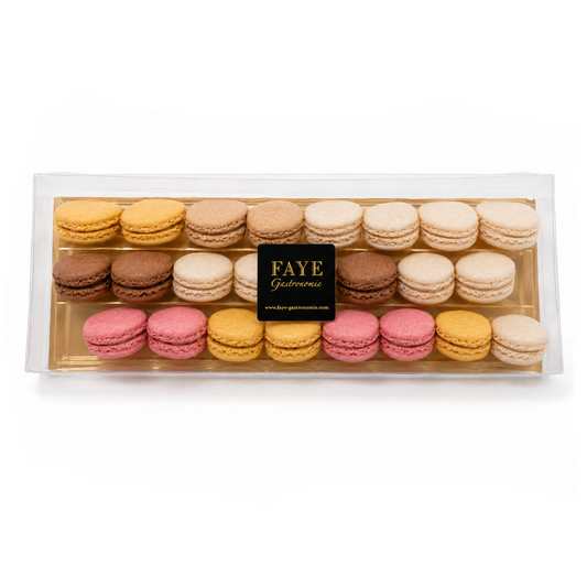 Frozen Macarons x24