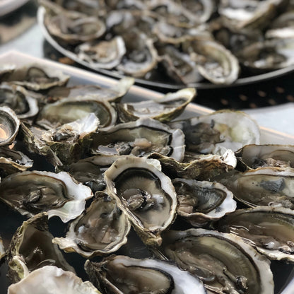 Fresh Oysters