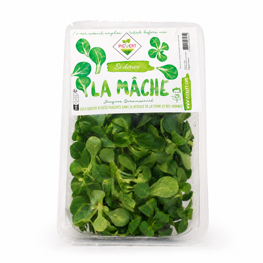 Picvert Lamb Lettuce