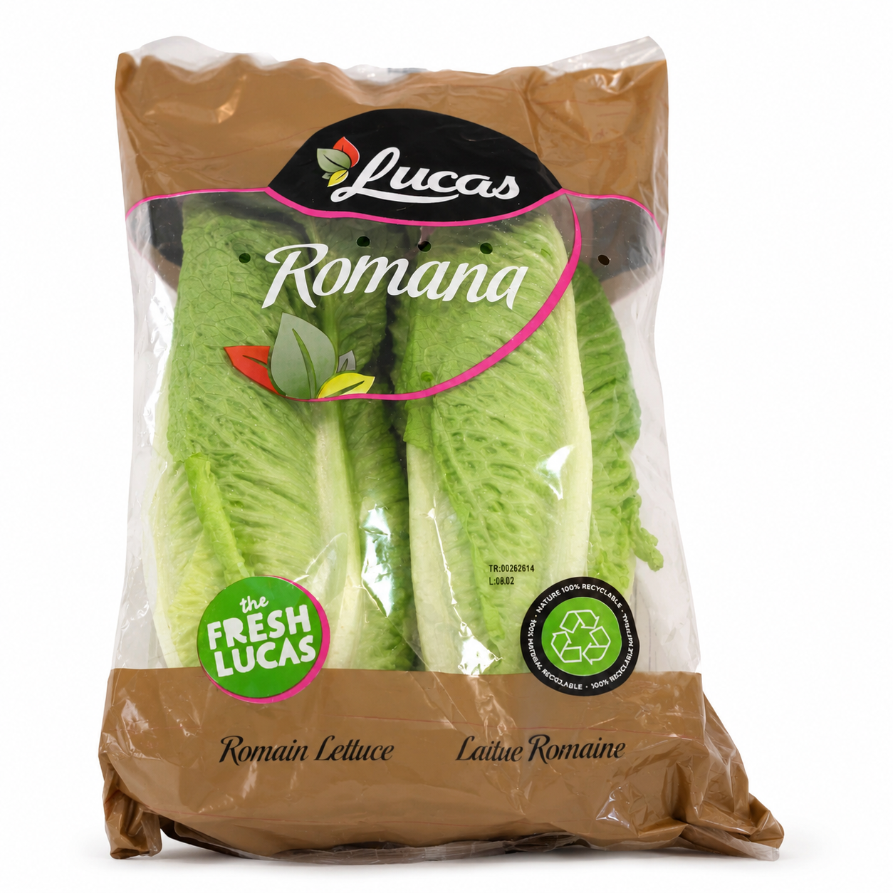 Romaine Lettuce
