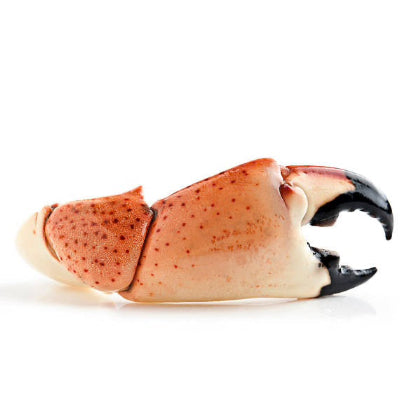 Fresh Crab Claws