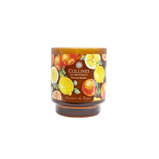 Scented Candle Citrus Orchard Glow